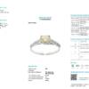 Item #101 - Image 2