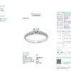 Item #110 - Image 2